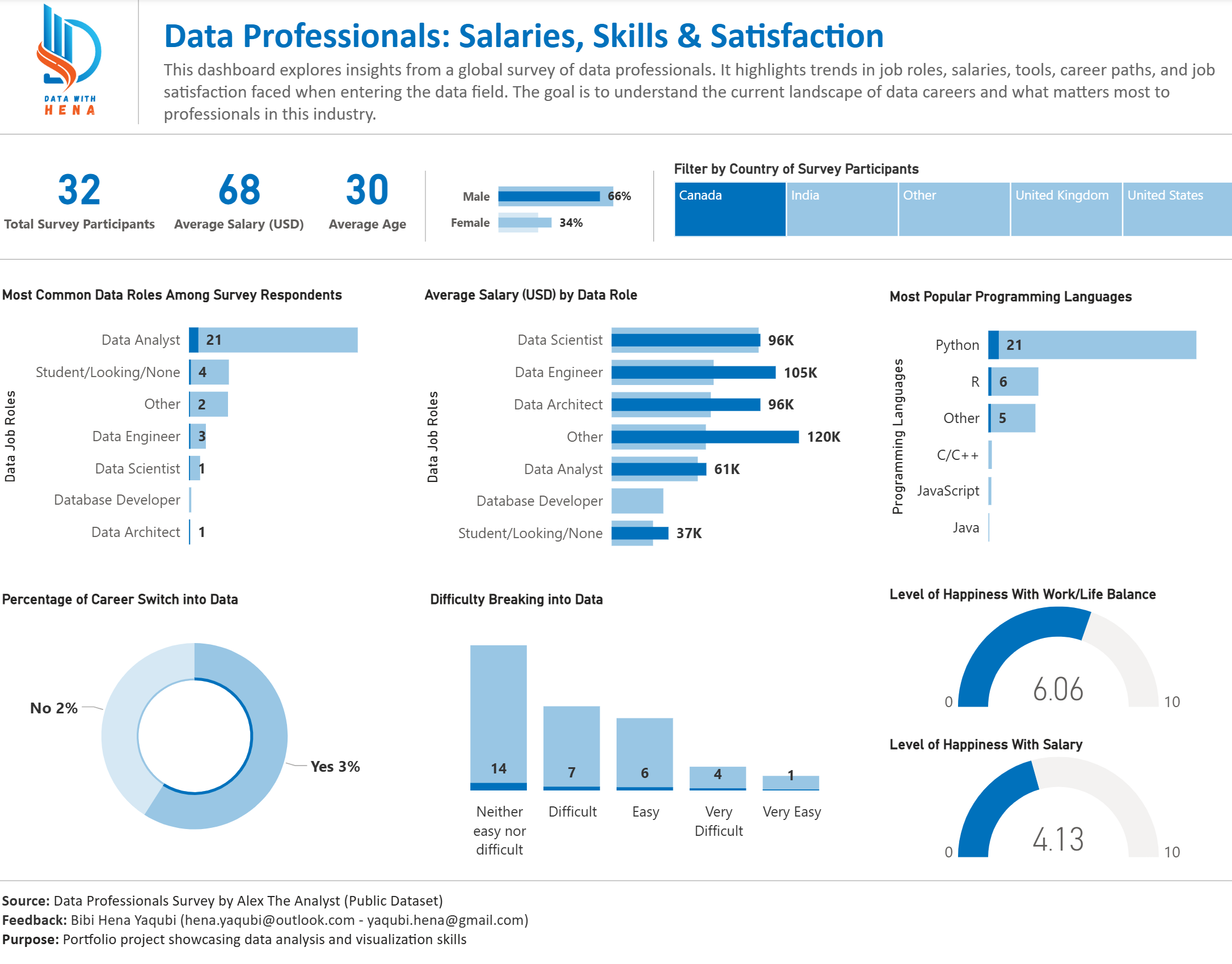 Data Professionals Survey Dashboard - View 1